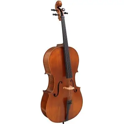 Versand Am Gleichen Tag Hidersine Vivente Cello-Garnitur 3/4