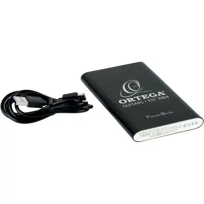 ORTEGA Power Bank 10000mAh Angebot