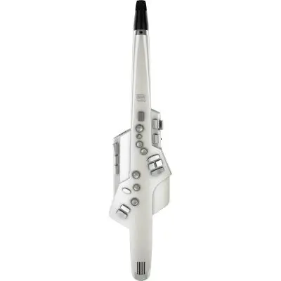 Roland AE-10 Aerophone B-Ware Preiswert