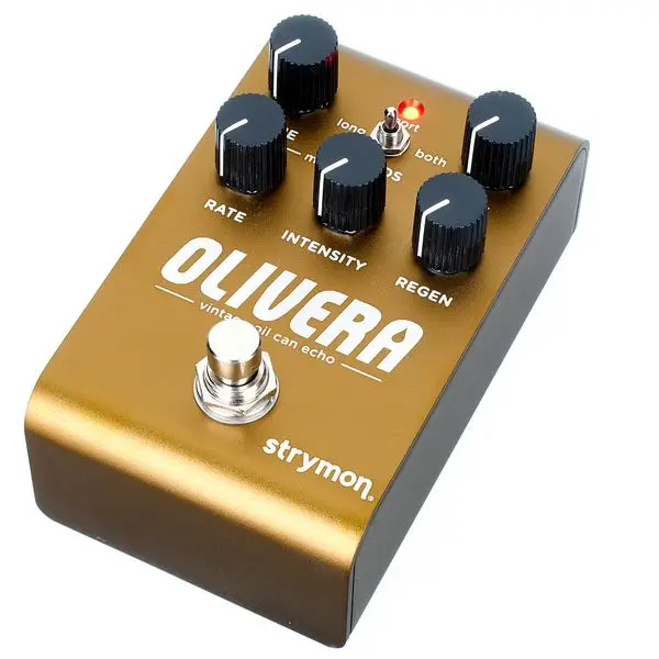 Strymon Olivera Delay Geprüft