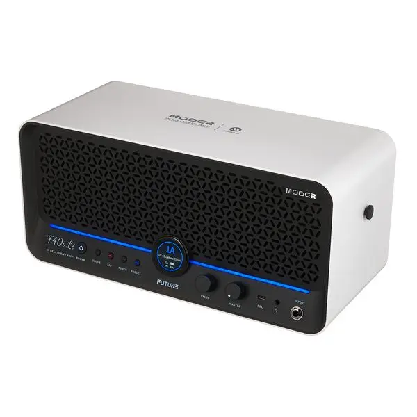 Neuheit Mooer F40i Li Model.Guitar Combo SW