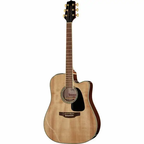 Preis Gesenkt Takamine GD51CE-NAT
