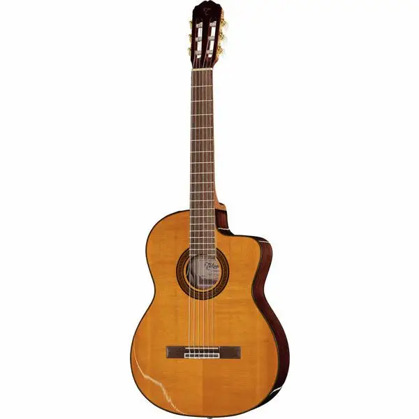 Takamine GC5CE Natural Nur Heute