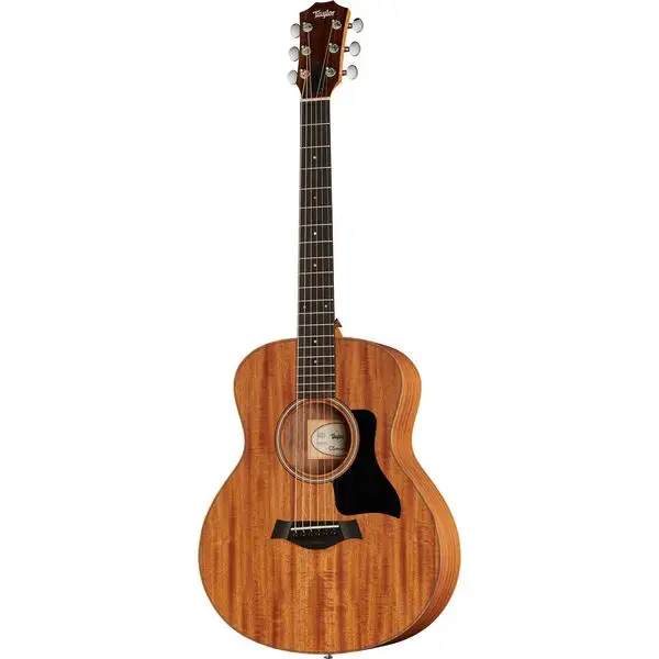 Angebot Taylor GS Mini Mahogany