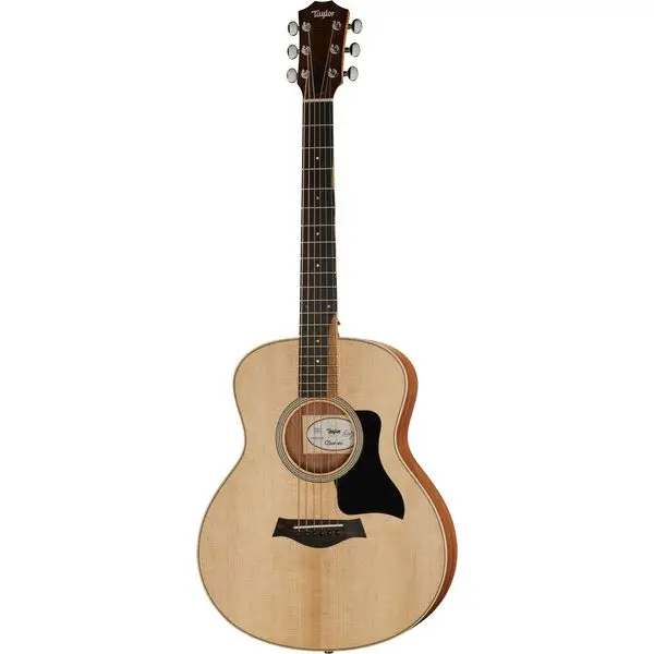 Taylor GS Mini Sapele Torrefied Top Schneller Versand