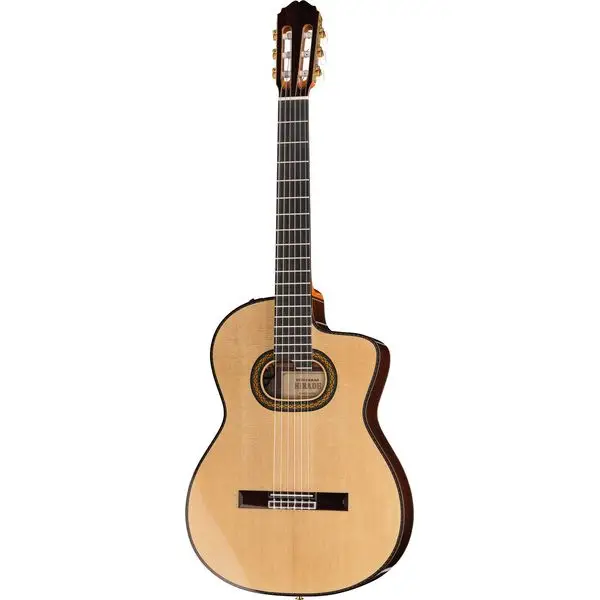 Takamine DH90 w/Softcase Direktkauf