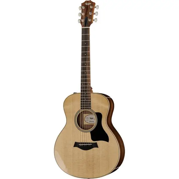 Taylor GS Mini-e Rosewood Plus Letzte Chance