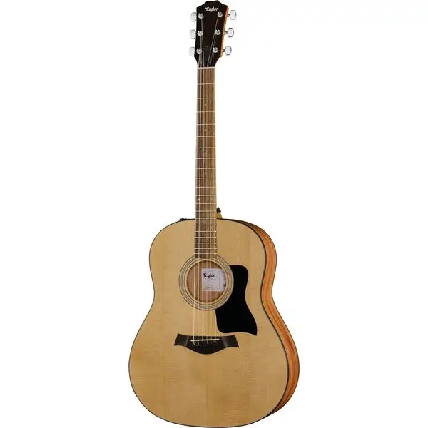 Top-Preis Taylor 117e Grand Pacific Eucalyptus