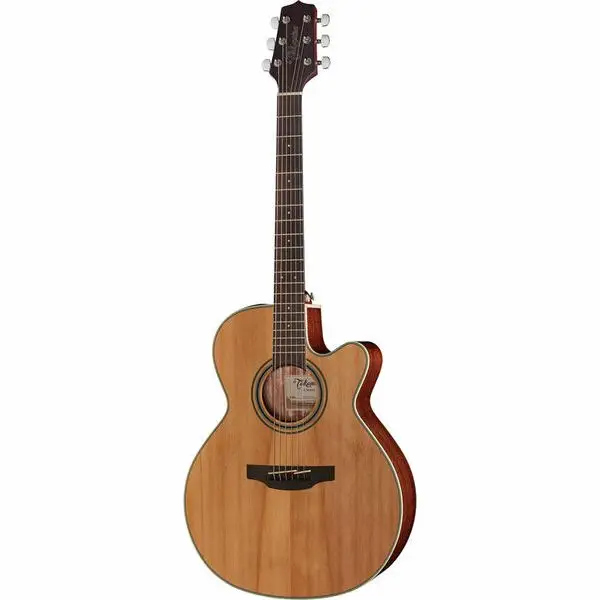 Sale Takamine GN20CE N