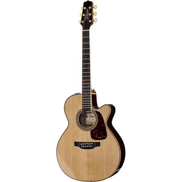 Finale Aktion Takamine P7NC w/Softcase