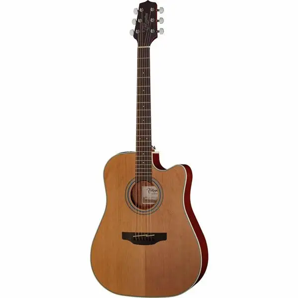 Top-Seller Takamine GD20CE-N