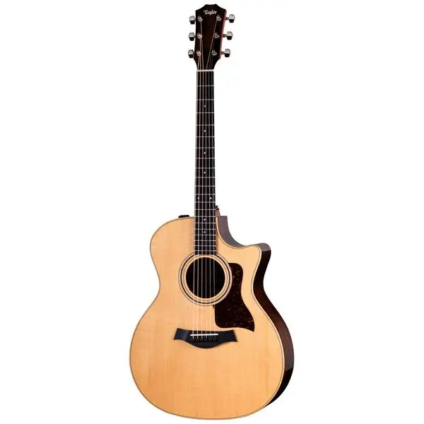 Taylor 414ce Studio Neue Ware
