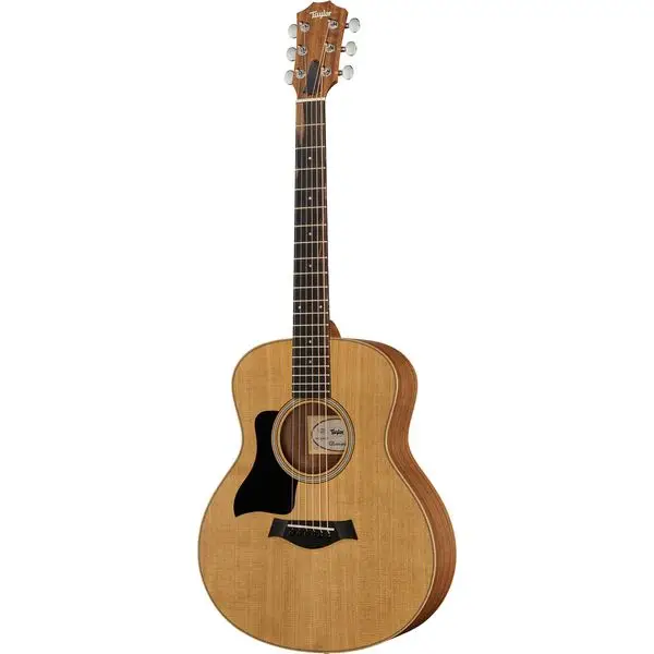 Finale Aktion Taylor GS Mini Sapele Lefthand